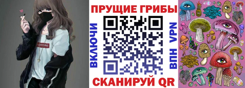 hydra ТОР Карачев Псилоцибиновые грибы GOLDEN TEACHER